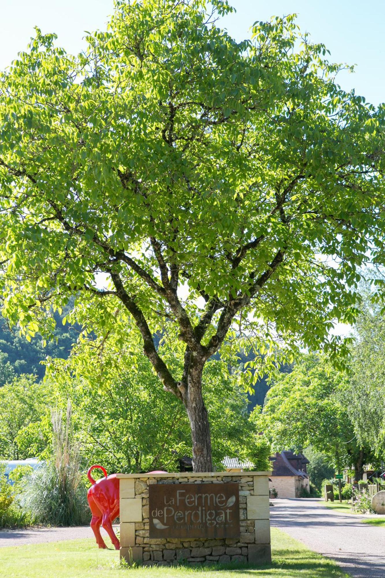 Camping La Ferme De Perdigat Limeuil Exterior foto